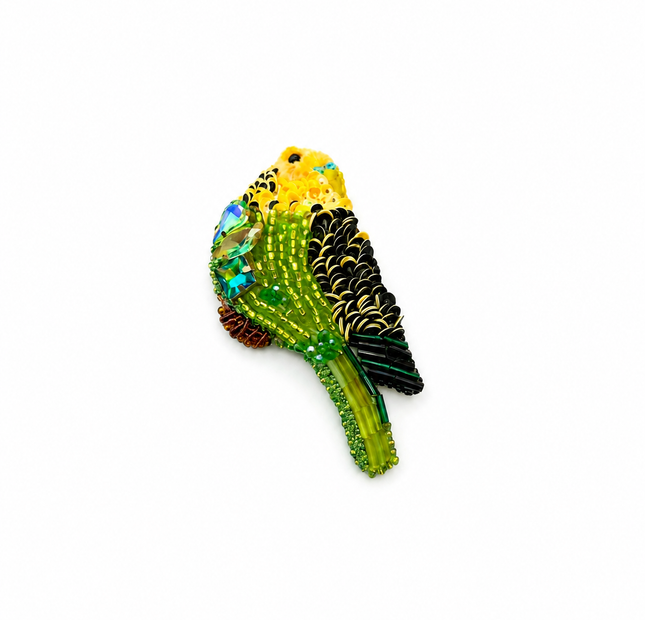 Aves